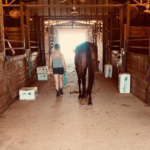 Meet your Posher, Cassie - Picture 1 of 1